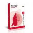 Папір офісний А3 п80 500л Maestro Standart
