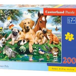 Пазли Castorland 200