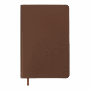 Щоденник датов. 2025 STEEL, A6, бронза, штуч. шкіра