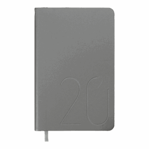 Щоденник датов. 2025 STEEL, A6, срібло, штуч. шкіра