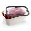 КОНТЕЙНЕР ХАРЧОВИЙ PREMIUM    (22 Х 16,5 Х 9 CM)  2 Л  (24)