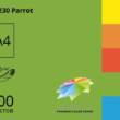 Папір кольор А4 160г/м (100арк) інт Spectra Color Parrot 230 (зелений)