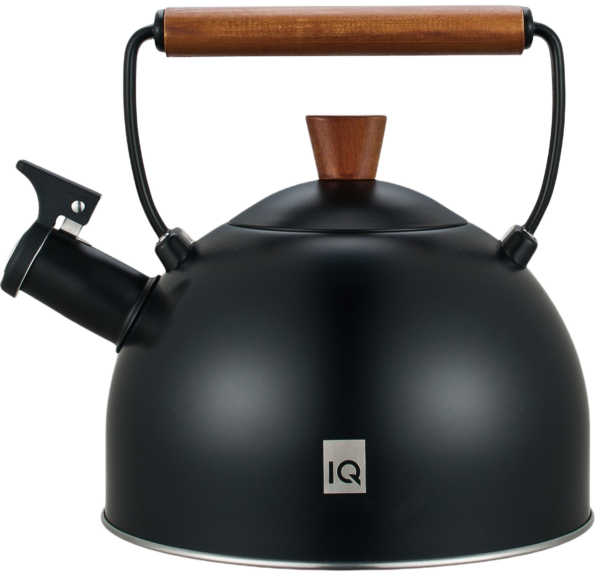 Чайник IQ Вe Natural 2.5 л