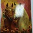 Папка для праці та зошитів HORSES, картонна, на гумці А4 (225x316мм), KIDS Line