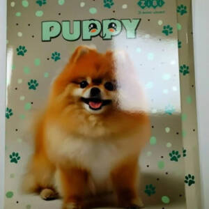 Папка для праці та зошитів DOG, картонна, на гумці А4 (225x316мм), KIDS Line