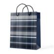 Пакет подарунковий паперовий M "Checkered" 26*32*12см R94995-M (600шт)