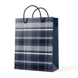 Пакет подарунковий паперовий M "Checkered" 26*32*12см R94995-M (600шт)