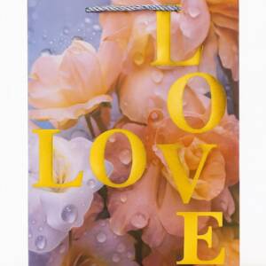 Пакет подарунковий паперовий S "Love" 18*24*8.5см R34711-S (720шт)