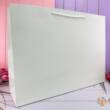 Пакет подарунковий паперовий XL "Monochrome" 43*55*15см R99735-XL (240шт)