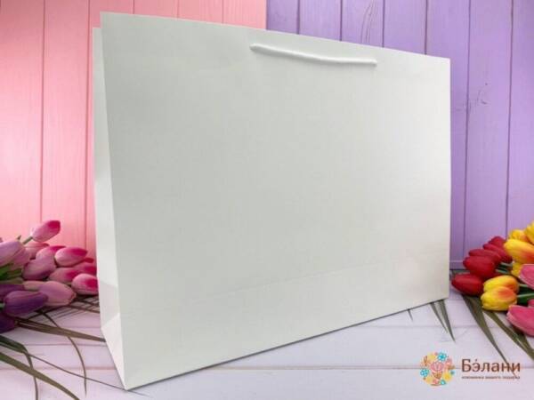 Пакет подарунковий паперовий XL "Monochrome" 43*55*15см R99735-XL (240шт)