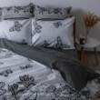 Комплект постільної білизни ТЕП "Soft dreams" полуторнийBlack Butterfly, 70x70