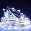 РОСА 100 LED 10м,  реле 8 режимів +USB  білий  (50)